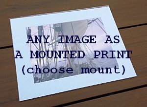 Mounted Photographic Print