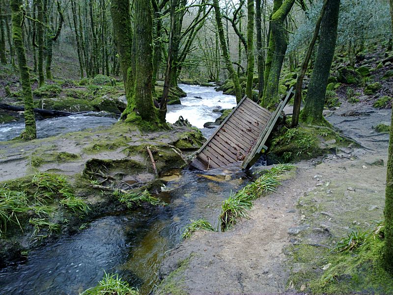 Golitha Bridge Damage