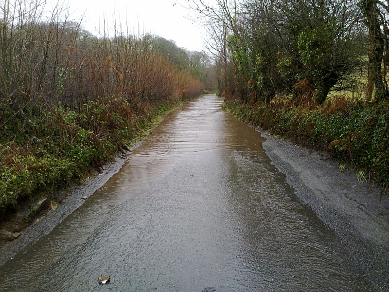 Golitha Lane Flood