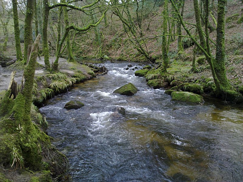 Golitha January towards Bend