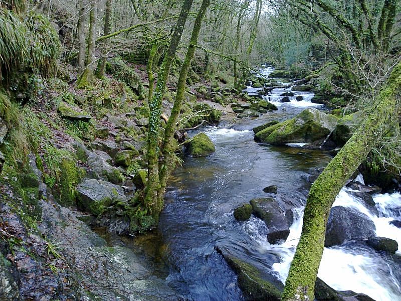 Golitha January View up Falls