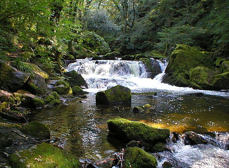 Golitha Lower Falls