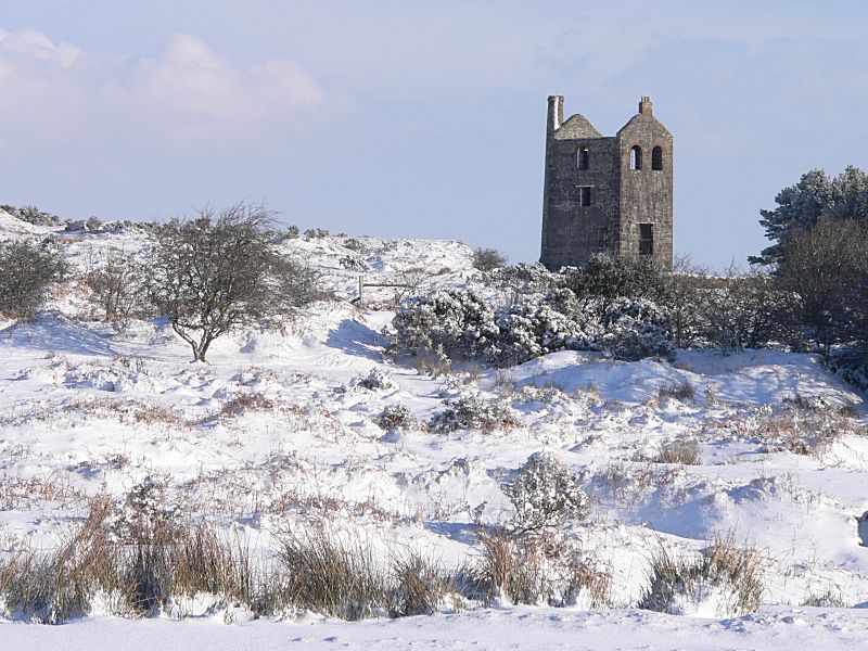 Minions Housemans in the Snow