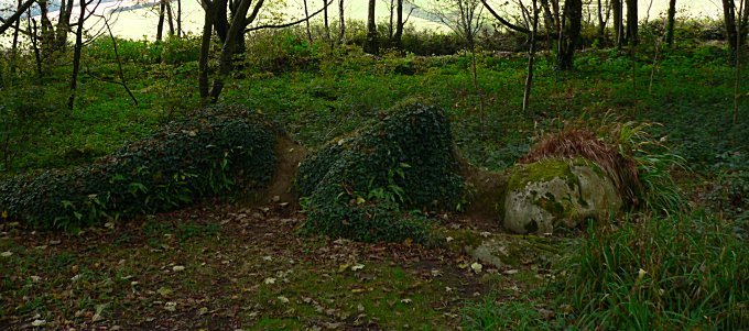 Heligan Earth Woman