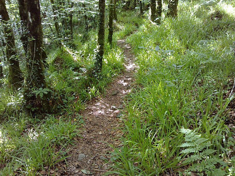 China Clay Pipe Track