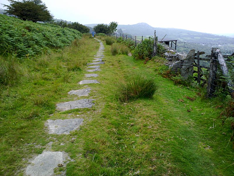 Liskeard & Caradon Railway around Stowe's Hill