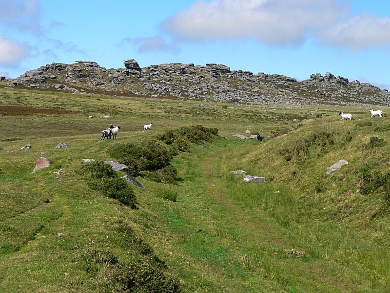 Liskeard & Caradon Railway Kilmar