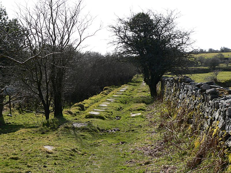 Liskeard & Caradon Railway Gonamena