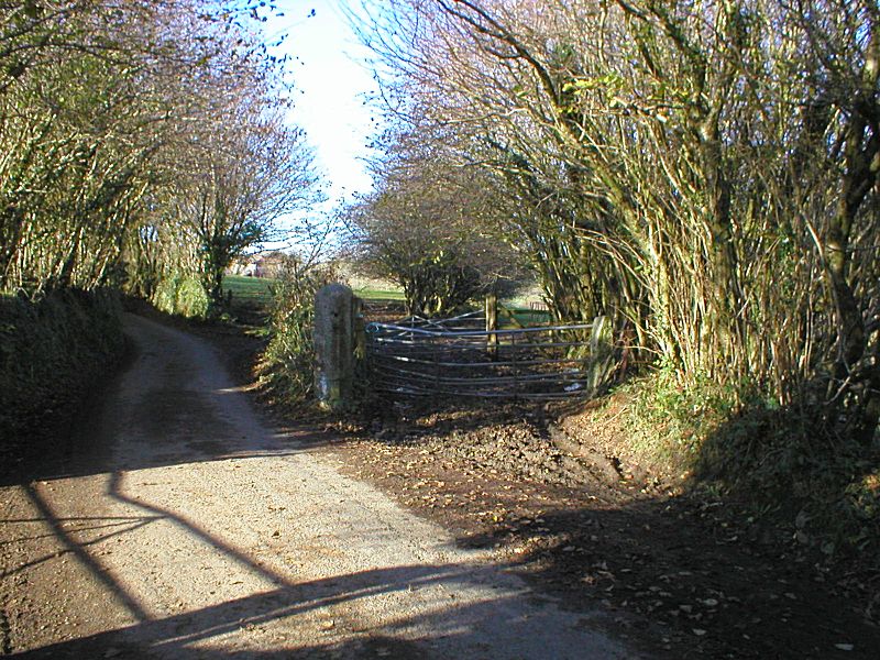 Liskeard & Caradon Railway Tremar Crossing