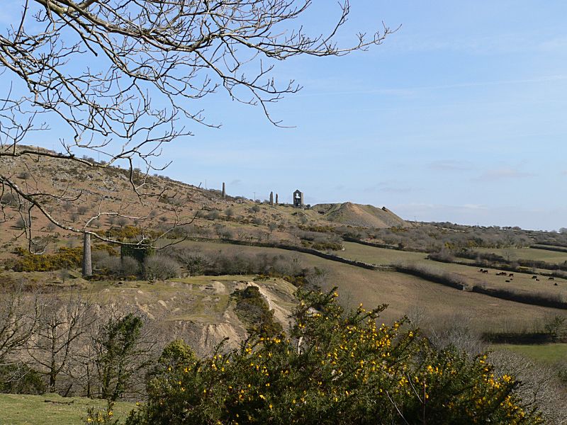 South Caradon Mine View