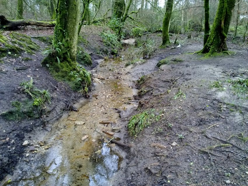 Wheal Victoria Lower Leat