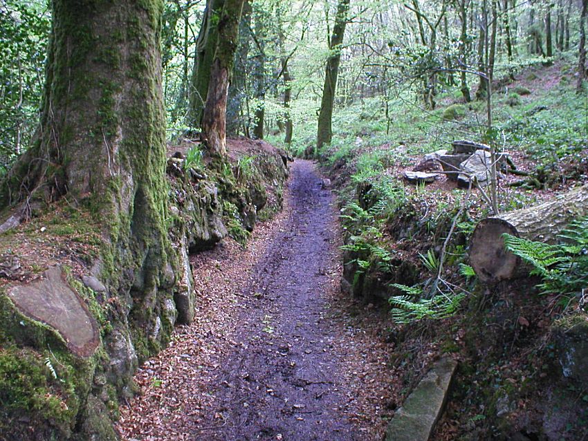 Wheal Victoria Upper Leat