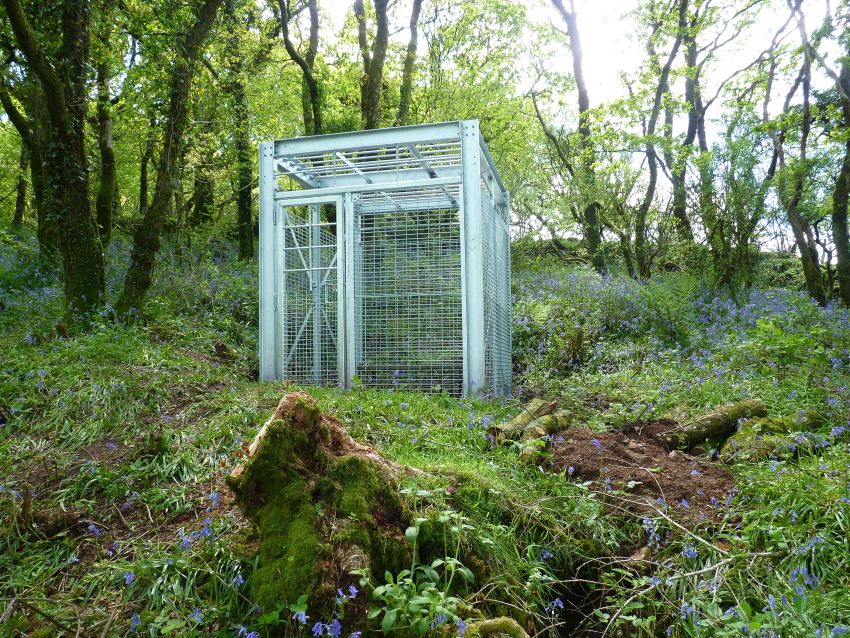 Wheal Victoria Second Ladderway Shaft Caged