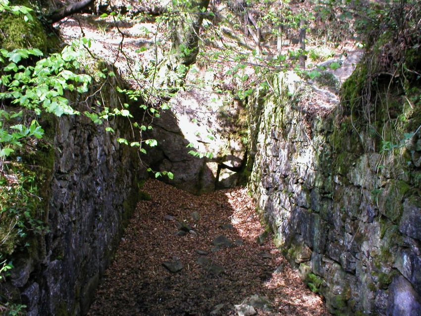 Wheal Victoria First Wheelpit