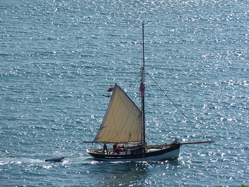 Fowey Harbour Sailing