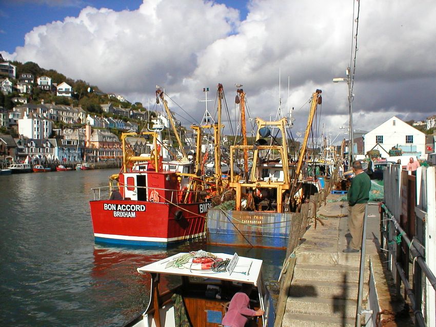 Looe Fishing Boats