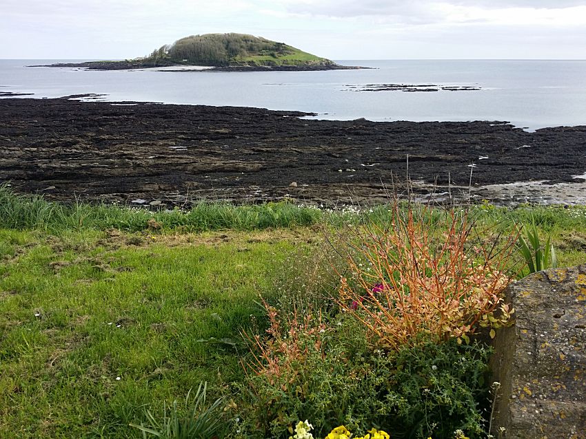 Looe Island