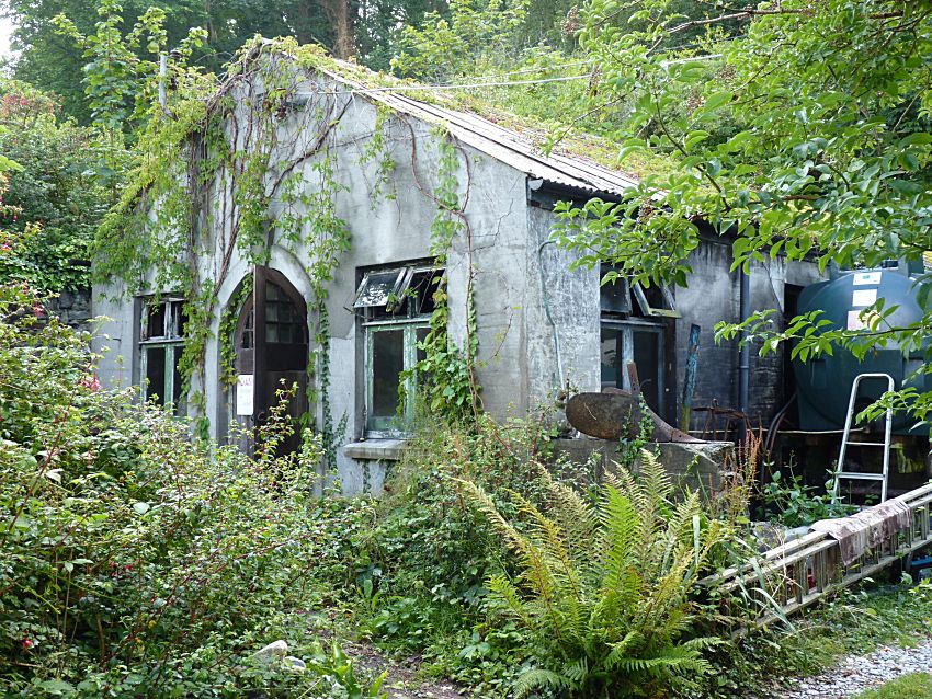 Visit to Looe Island