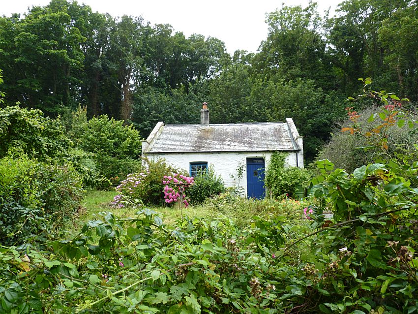 Visit to Looe Island