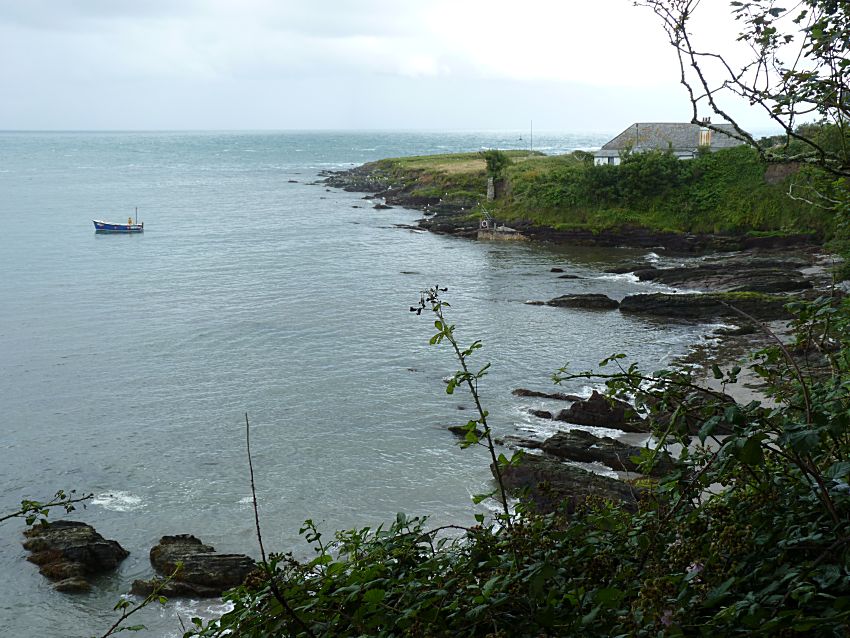 Visit to Looe Island