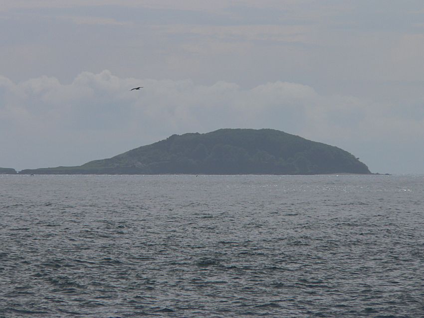 Looe Island