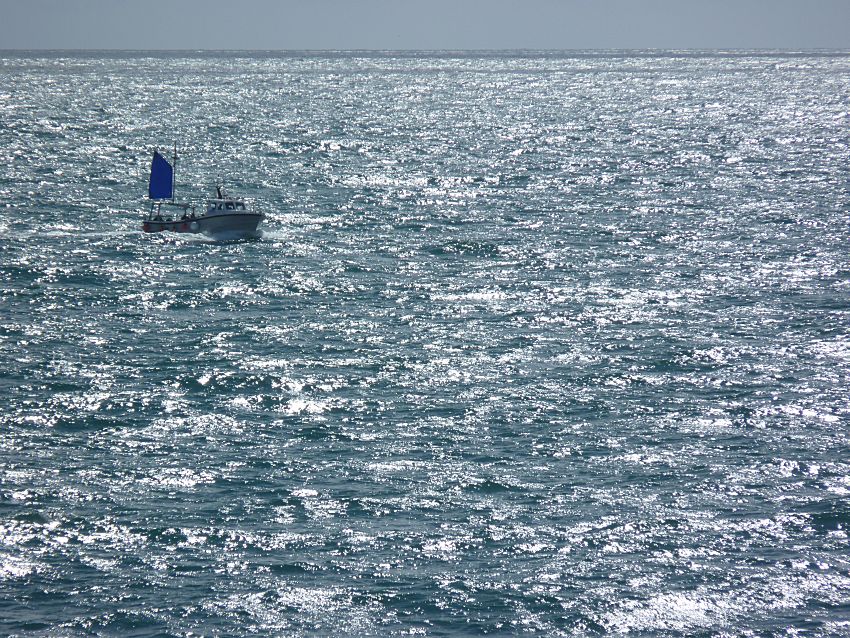 Looe Trip Boat