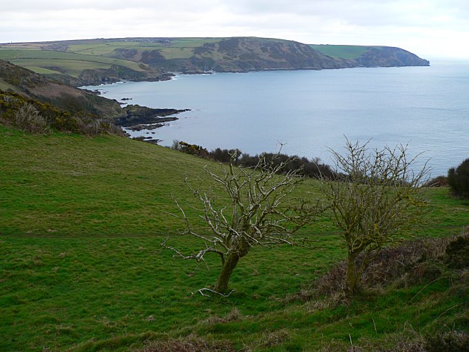 Pencarrow Head