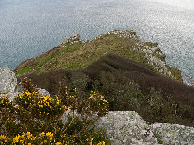 Pencarrow Head