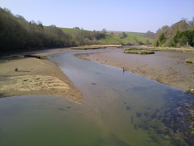 Looe Valley Line River at Terras Bridge