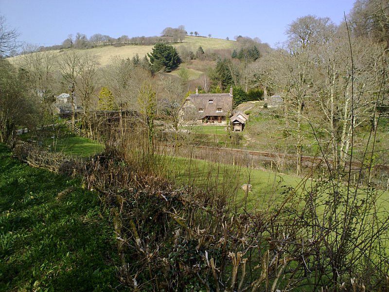 Looe Valley Line Plashford Bridge