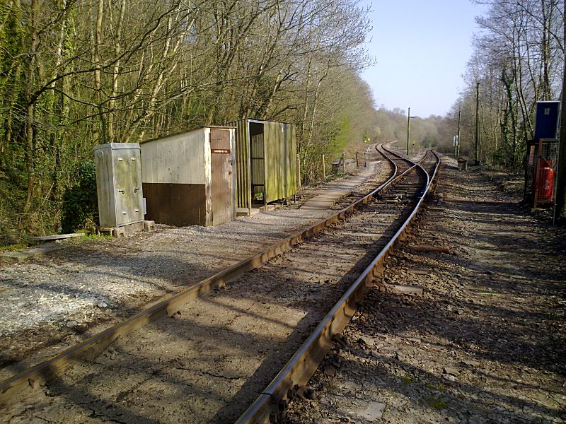 Looe Valley Line Coombe Junction