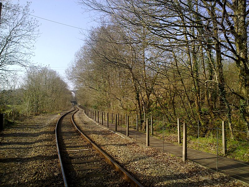 Looe Valley Line Coombe