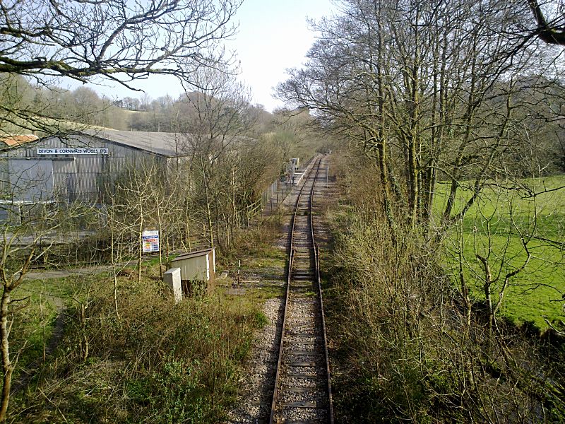Looe Valley Line Coombe Junction