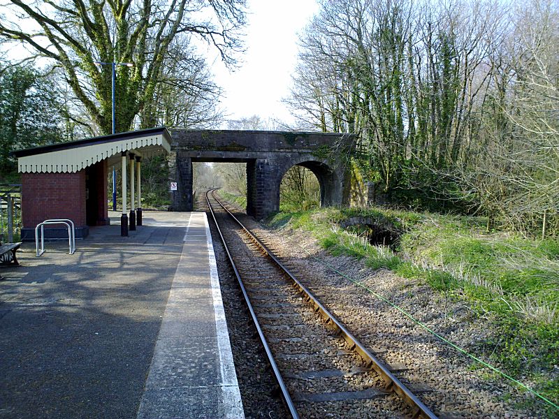 Looe Valley Line St Keyne