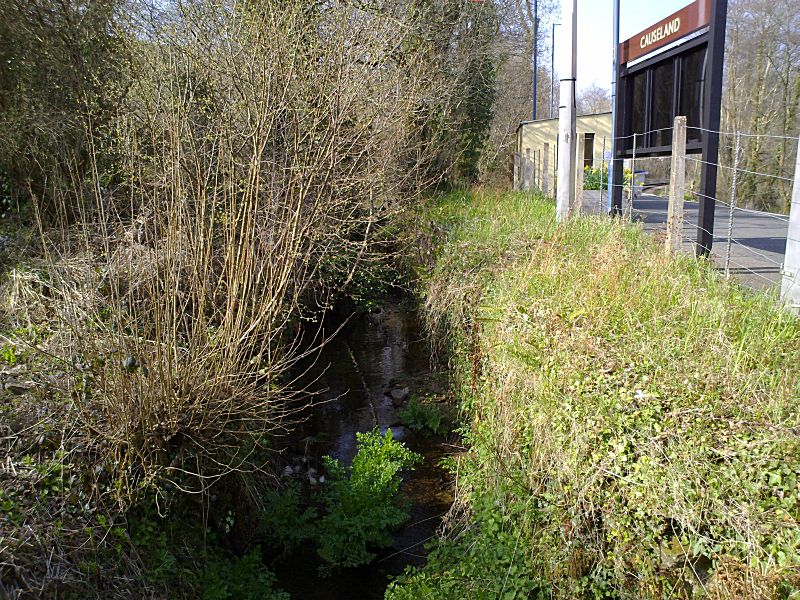 Looe Valley Line Causeland Canal