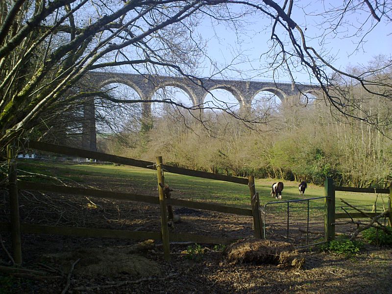 Moorswater Viaduct