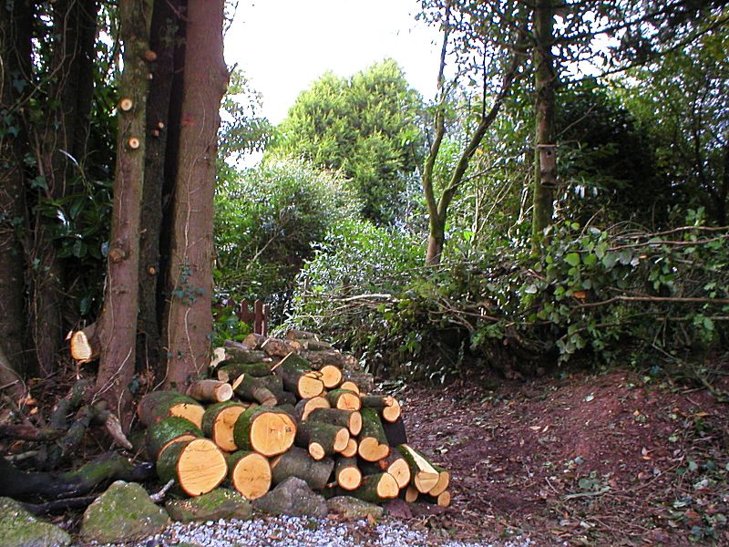 Garden Forestry