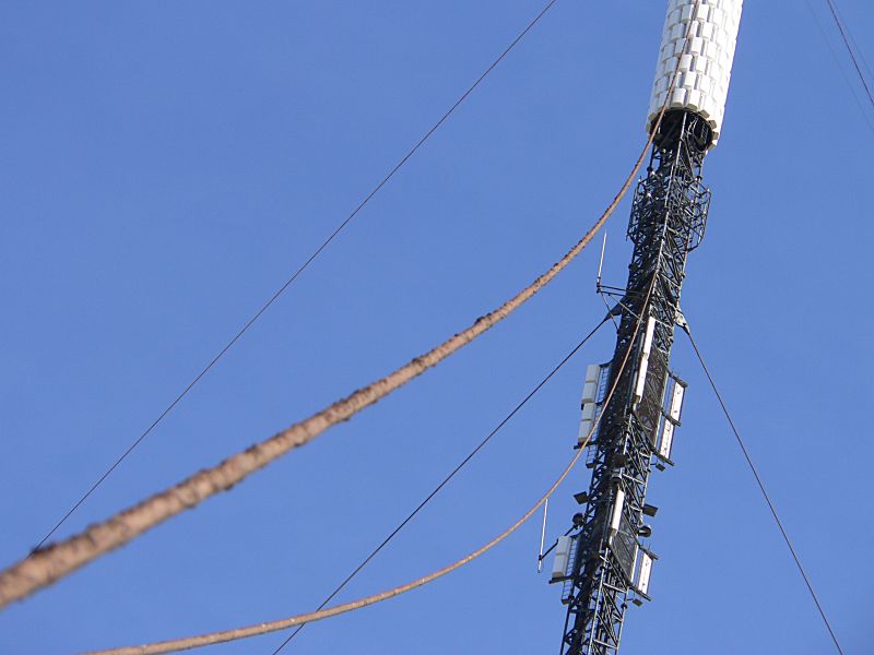 Caradon Mast Cables